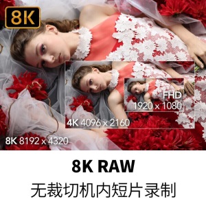 佳能（Canon）EOS R5(RF 24-105mm F4 L IS USM)