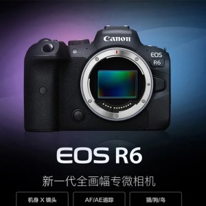 佳能（Canon）EOS R6 单机/套机 全画幅微单数码相机 旗舰系列 专业级照相机 4K视频摄像 r6+RF70-200mm F4 L IS USM