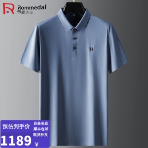 罗梅达尔 翻领polo衫休闲半袖夏季冰丝中年男短袖爸爸衣服高端商务男装2022夏季新款短袖上衣