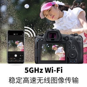 佳能（Canon）EOS R5(RF 24-105mm F4 L IS USM)