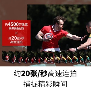 佳能（Canon）EOS R5(RF 24-105mm F4 L IS USM)