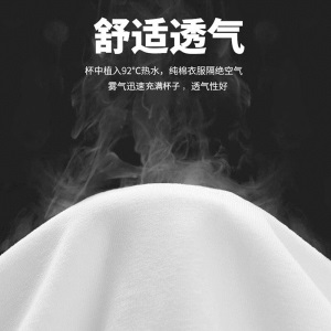 南极人短袖T恤男纯棉韩版圆领潮流印花宽松透气学生休闲夏天衣服大码半截袖男 中灰/DIE XL (